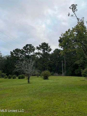 1273 Hilt Fornea Road, Poplarville, MS 39470