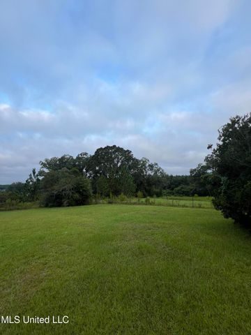 1273 Hilt Fornea Road, Poplarville, MS 39470