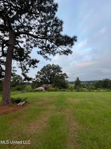 1273 Hilt Fornea Road, Poplarville, MS 39470
