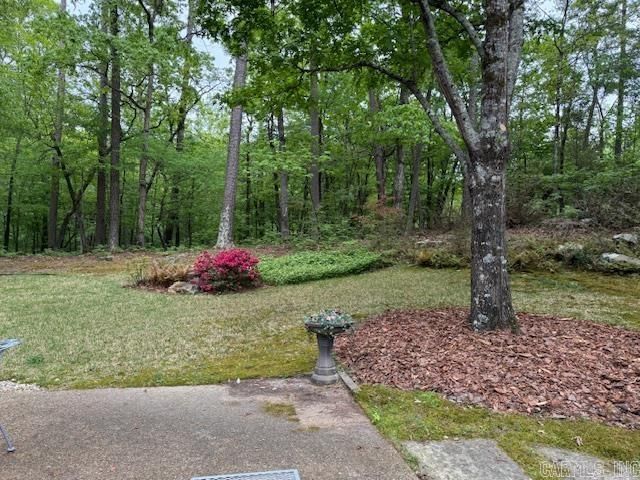 2 Balboa Cove, Hot Springs Village, AR 71909