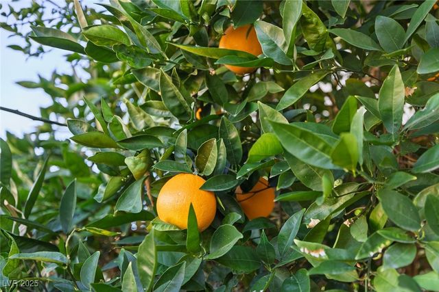 2349 Via Alicante, Henderson, NV 89044