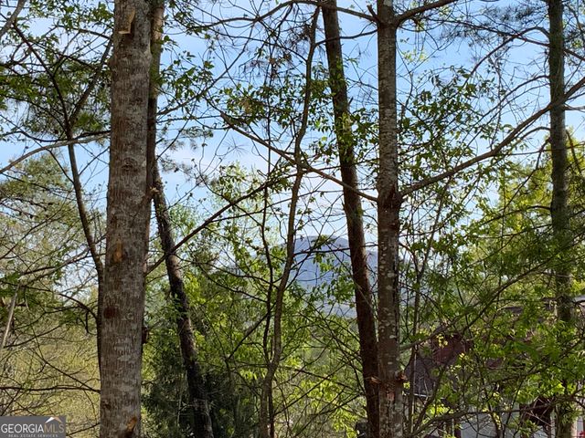 39B Sportarten Strasse, Helen, GA 30545