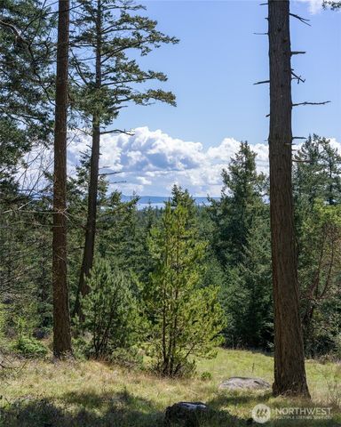186 South Ridge Road, Decatur Island, WA 98221