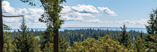 186 South Ridge Road, Decatur Island, WA 98221