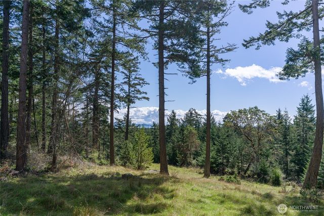 186 South Ridge Road, Decatur Island, WA 98221