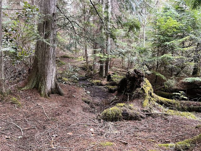 186 South Ridge Road, Decatur Island, WA 98221
