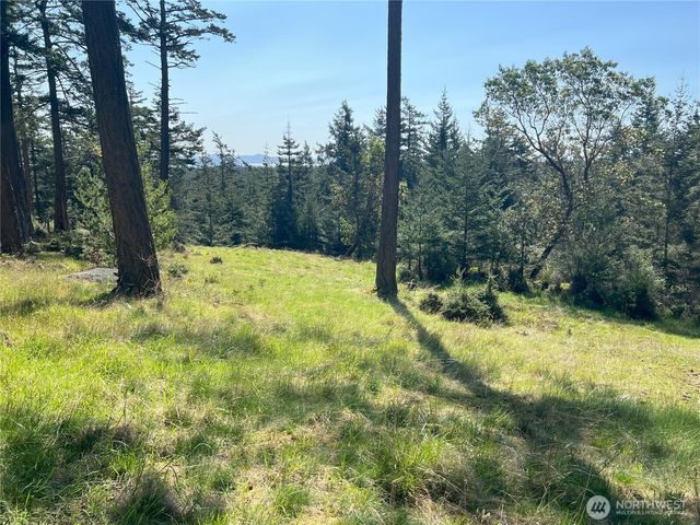186 South Ridge Road, Decatur Island, WA 98221