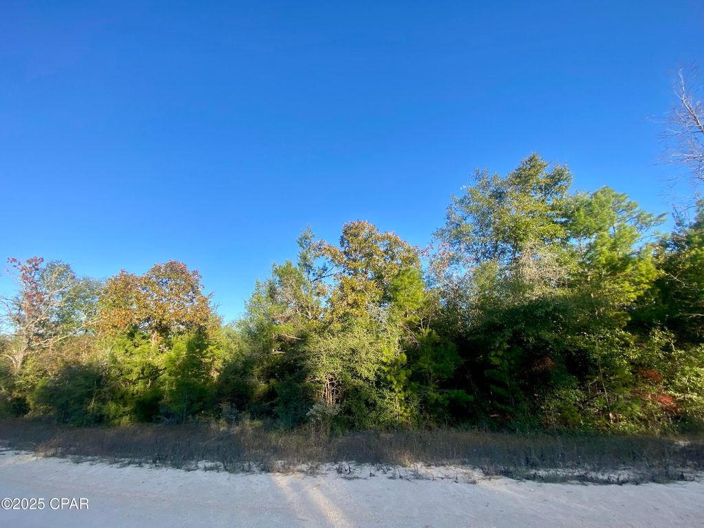 Lot 34 Anderson Drive, Alford, FL 32420