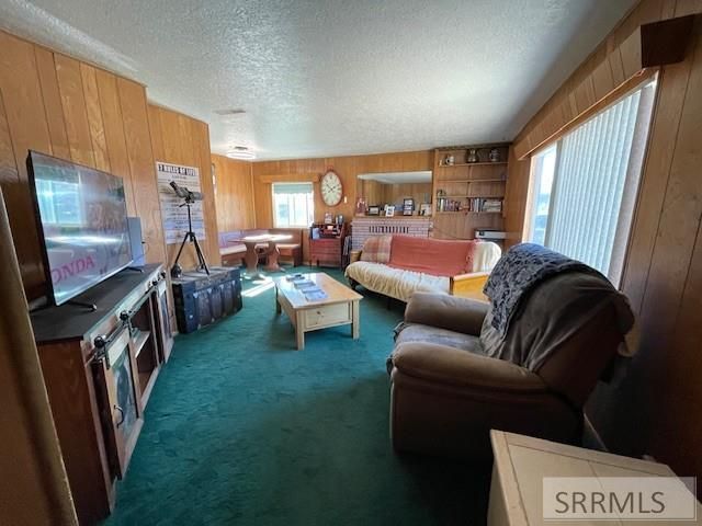 2 Chaffin Lane, Salmon, ID 83467