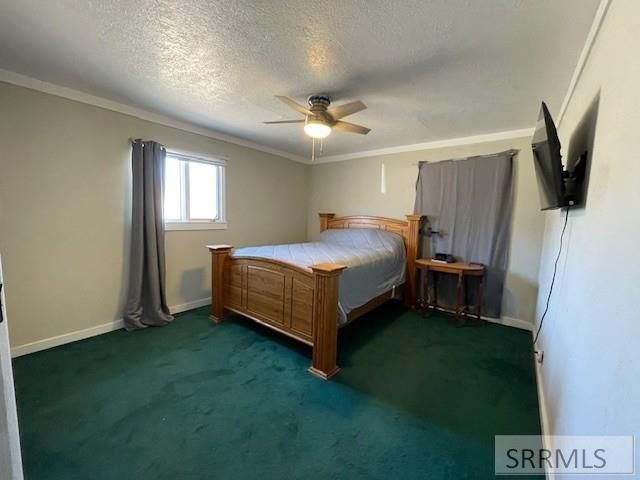 2 Chaffin Lane, Salmon, ID 83467