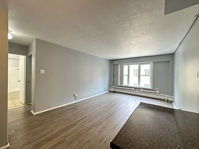 1040 W HOLLYWOOD Avenue 520, Chicago, IL 60660