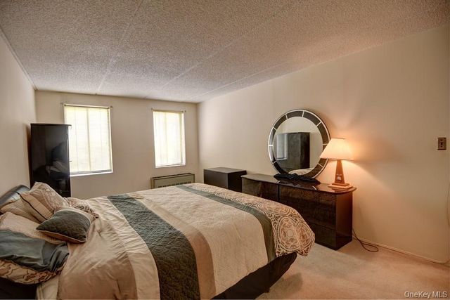 175 Maple Avenue 4I, Westbury, NY 11590