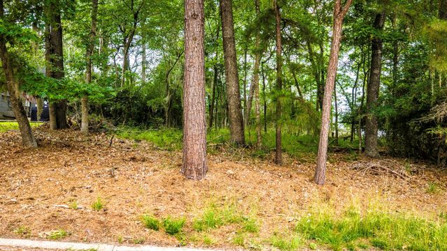 TBD La Jolla Court, Huntsville, TX 77320