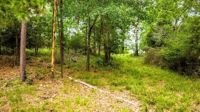 TBD La Jolla Court, Huntsville, TX 77320
