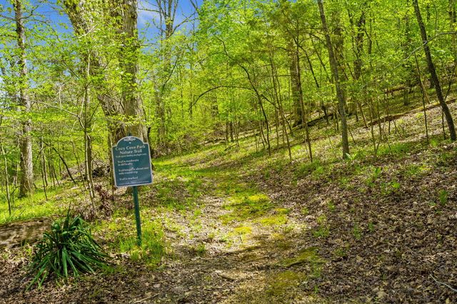 7820 Cozy Cove Road 20, Branson, MO 65616