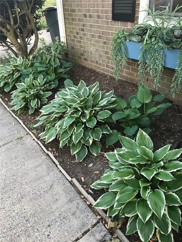 1530 Pebblebrook Road, Winston-salem, NC 27105