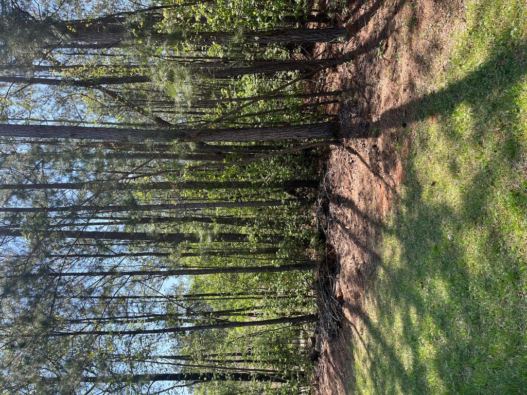 L14 B39 Antioch Drive, Mccormick, SC 29835