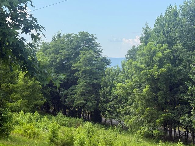 9749 Al Highway 73, Bryant, AL 35958