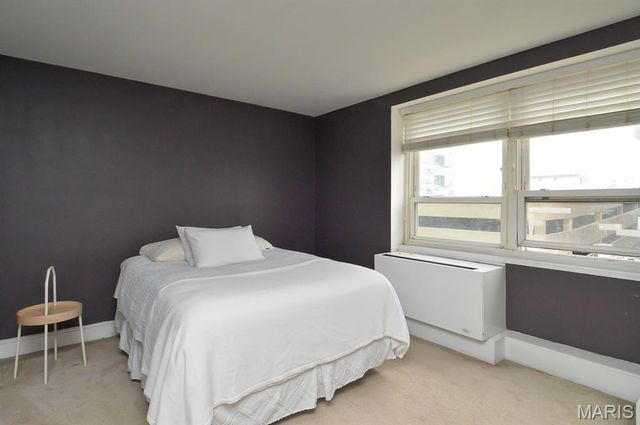 210 N 17th Street 512, St Louis, MO 63103