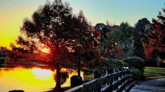 1103 Larchmont Court, Leland, NC 28451