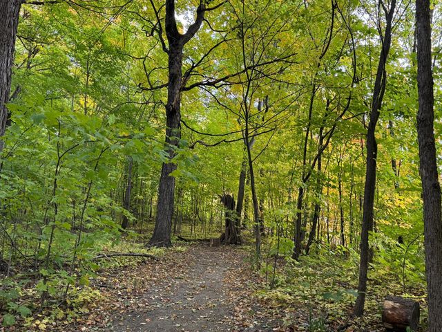 7495 Fern Court, Loretto, MN 55357