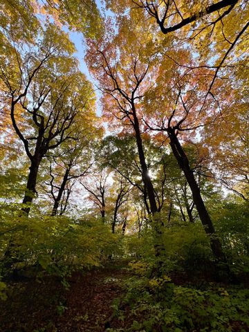 7495 Fern Court, Loretto, MN 55357