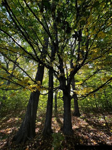 7495 Fern Court, Loretto, MN 55357