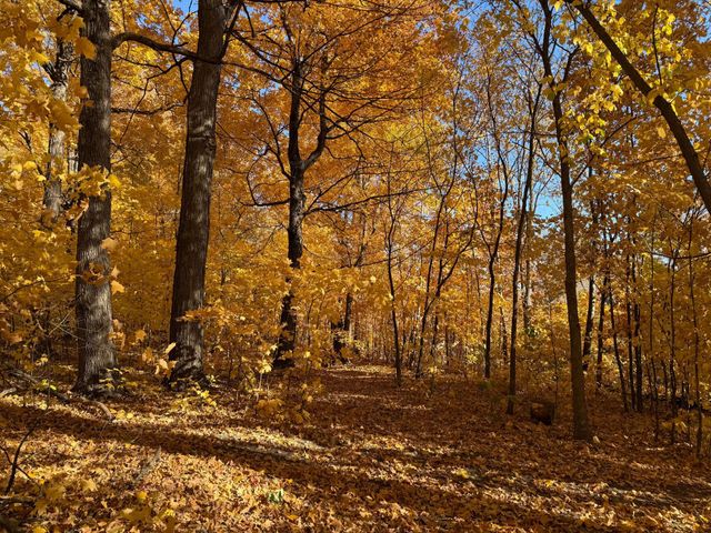 7495 Fern Court, Loretto, MN 55357