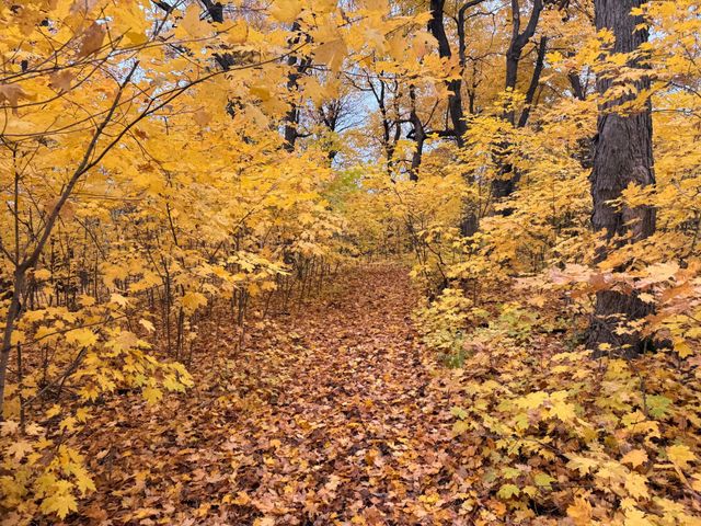 7495 Fern Court, Loretto, MN 55357