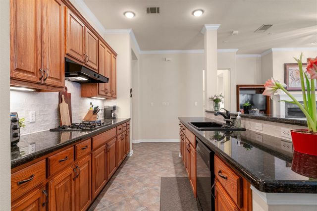 6437 Tasajillo TRL, Austin, TX 78739