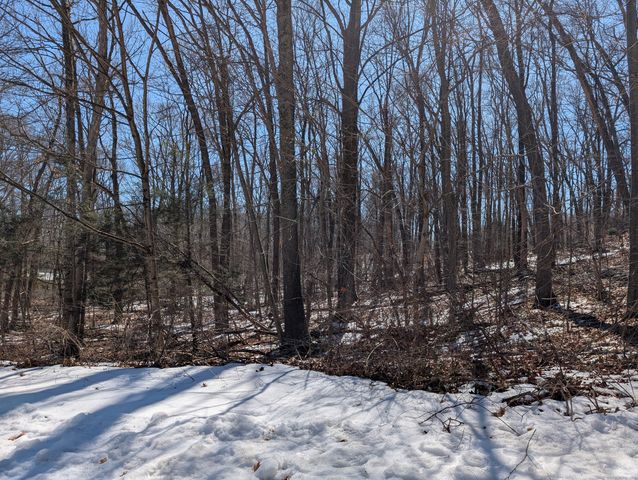 77 Timber Trail, Coventry, CT 06238
