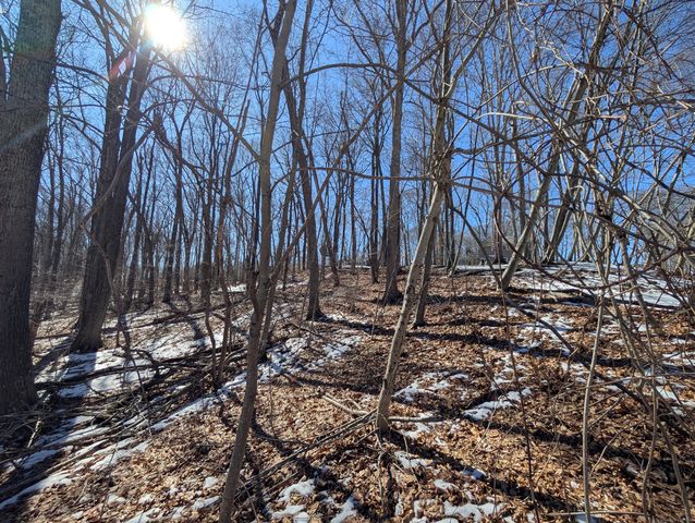 77 Timber Trail, Coventry, CT 06238