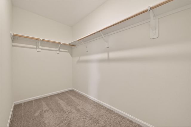 31247 Williams Landing St, Waller, TX 77484