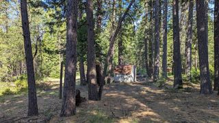 7693 Linda Road, Shingletown, CA 96088
