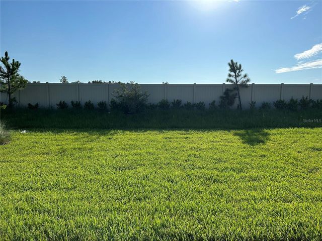 5981 SHOREBIRD BRANCH, Land O Lakes, FL 34638