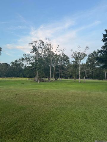 30431 Greenwell Springs Rd, Greenwell Springs, LA 70739
