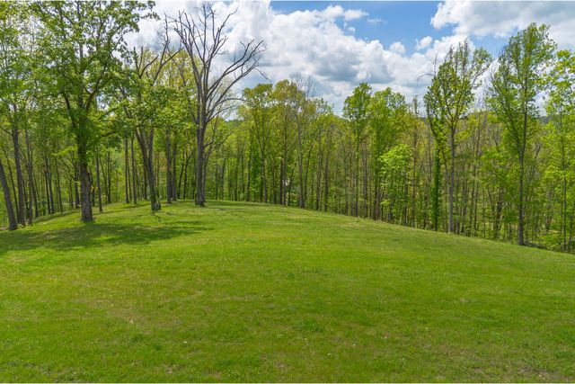4648 Love Branch Rd, Hampshire, TN 38461