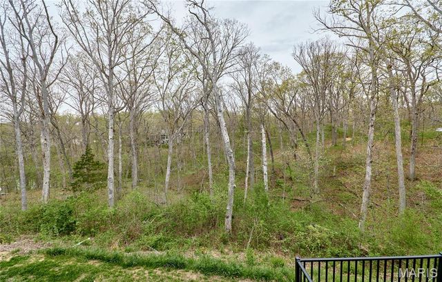 354 Pine Bluff Way, Troy, MO 63379
