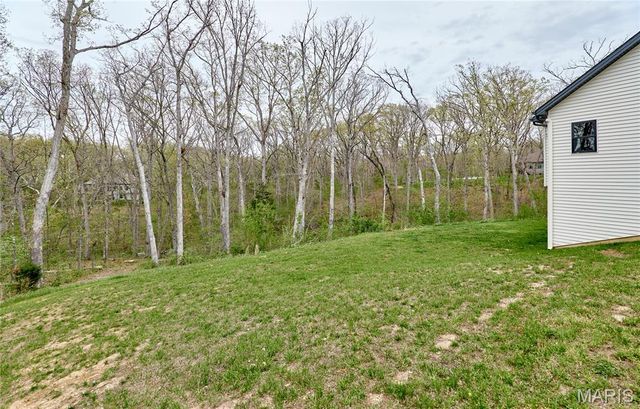 354 Pine Bluff Way, Troy, MO 63379