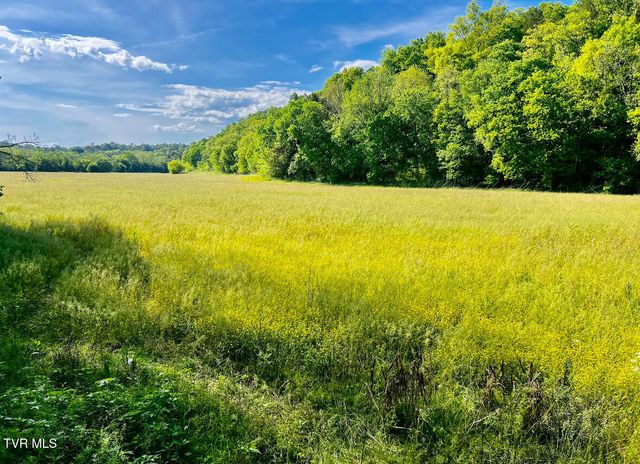 4045 South Mohawk Road, Midway, TN 37809