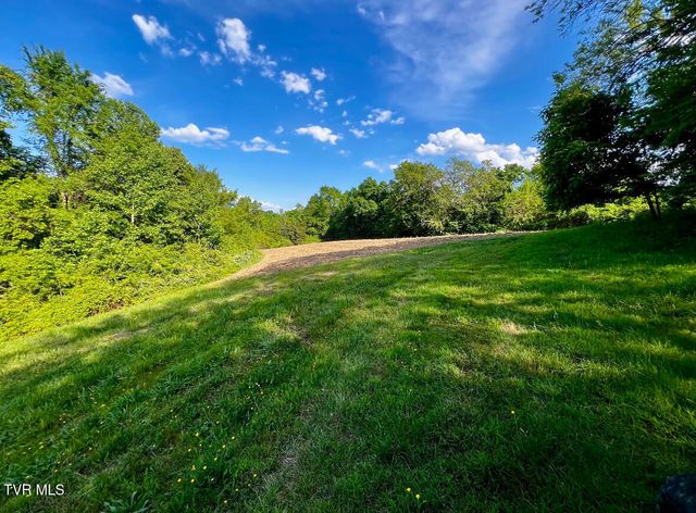 4045 South Mohawk Road, Midway, TN 37809