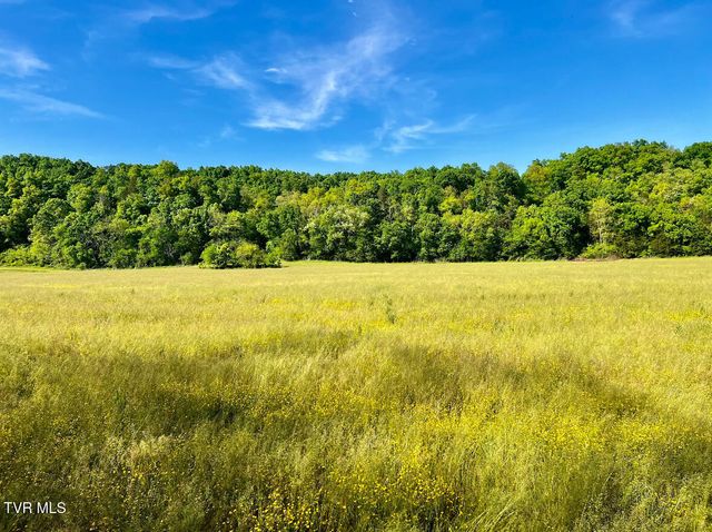 4045 South Mohawk Road, Midway, TN 37809