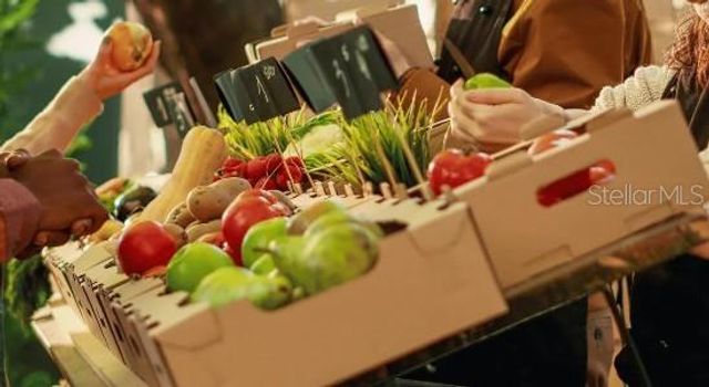 TBD SW 31ST TERRACE ROAD, Ocala, FL 34473