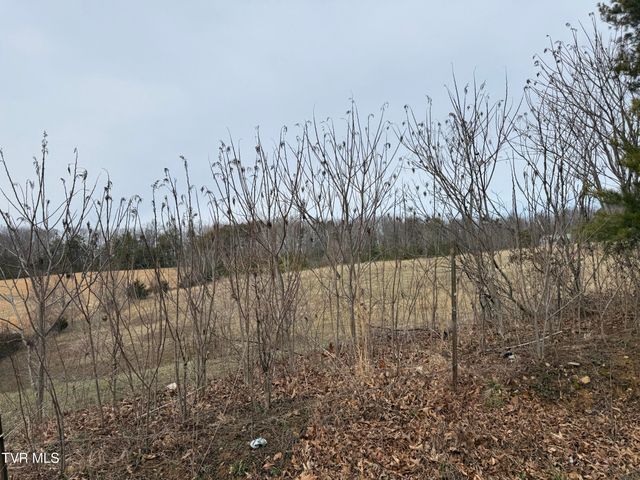 2160 Little Meadow Creek Road, Greeneville, TN 37743