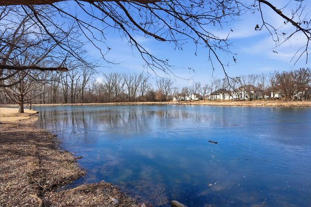 12312 BLUE IRIS Lane, Plainfield, IL 60585