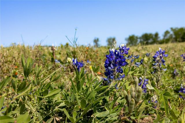 00 Sauney Chapel Road, Chappell Hill, TX 77426