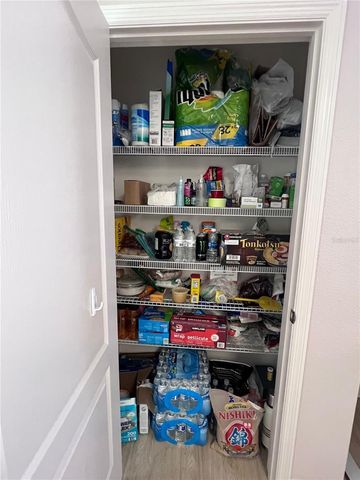 10120 HAWK STORM AVENUE, Tampa, FL 33610