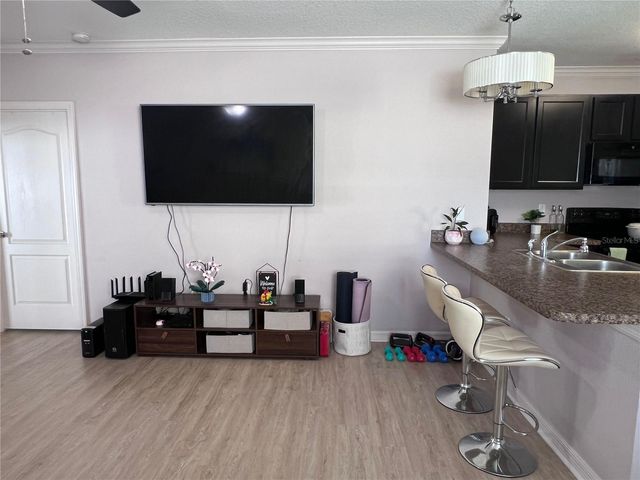 10120 HAWK STORM AVENUE, Tampa, FL 33610