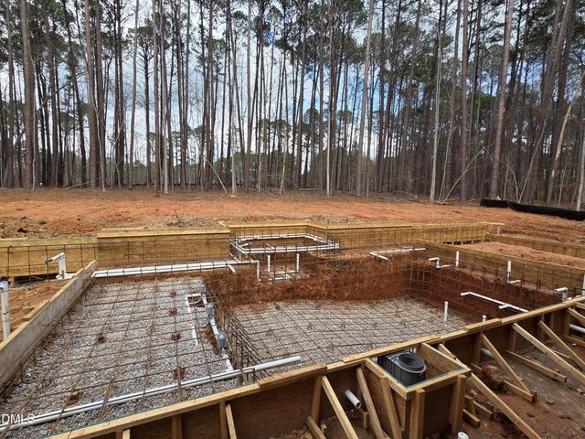 6460 Sanctuary Falls Drive, Raleigh, NC 27614