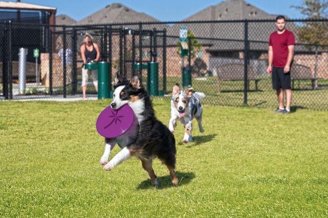 8635 Jetty Glen Drive, Cypress, TX 77433